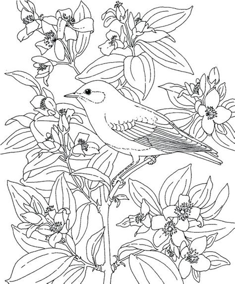 Cut and paste the things that are purple coloring page. Purple Coloring Pages Preschool at GetDrawings | Free download