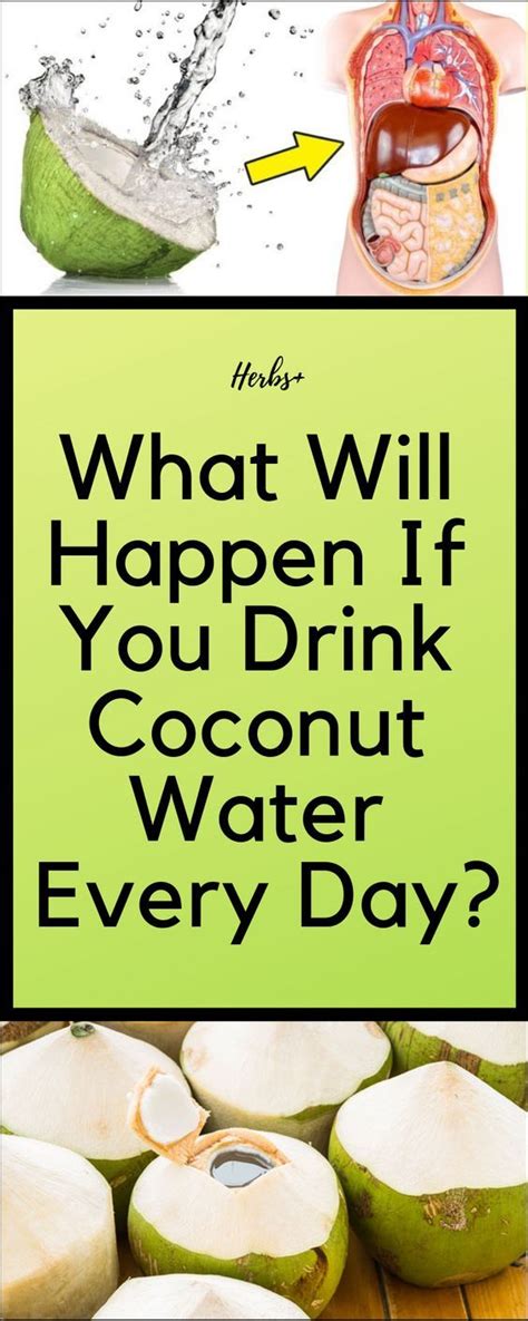 How to make a cactus juice with ingredients: What Will Happen If You Drink Coconut Water Every Day ...