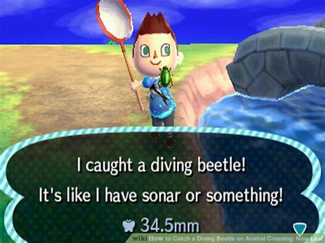 It looked like a tiangle shape in the water and then went green in colour as it surfaced. How to Catch a Diving Beetle on Animal Crossing: New Leaf ...