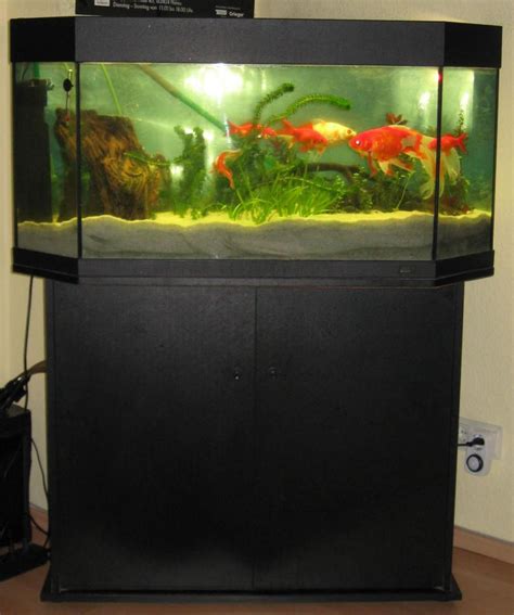 Zac aquarium unterschrank universal 1.1 eiche sonoma 120 x 40 x 75 cm: Aquarium mit Schrank und Abdeckung Marke: Juwel ca.120 ...