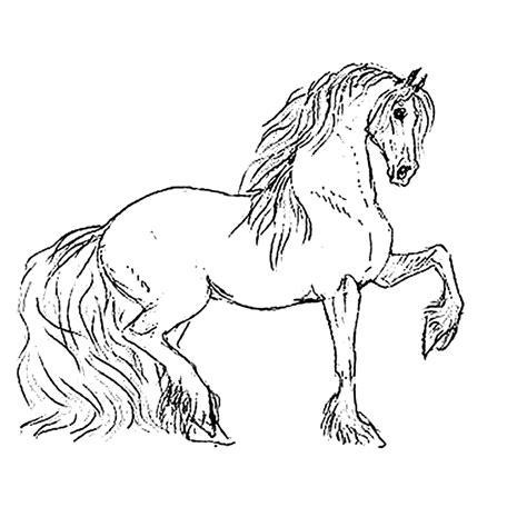 Kleurplaat barbie met paard, kleurplaat met paarden, kleurplaat paard met ruiter, kleurplaat paard met veulen, kleurplaat paardenhoofd. Kleurplaat Paarden / Kleurplaat Antistress met een portret van een paard — Stockvector © Tenkanu ...