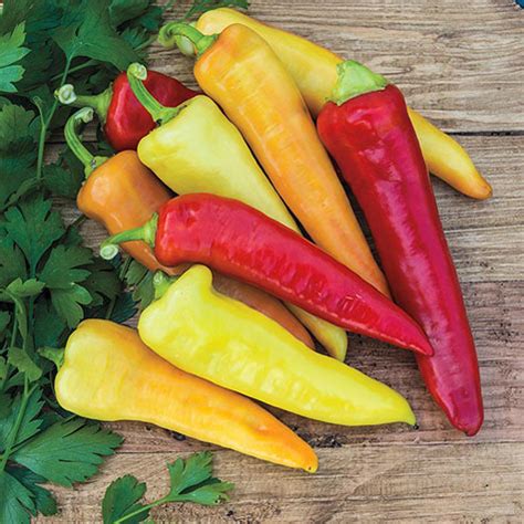 As you grow banana peppers, you must know when to pick another crucial thing regarding harvesting banana peppers is that the plant cannot produce as efficiently when night time temperatures are cooler. Sweet Banana Sweet Pepper | Gurney's Seed & Nursery Co.