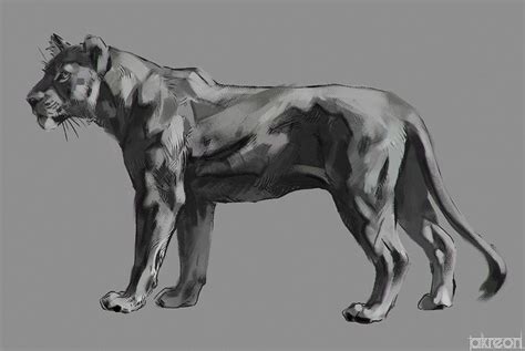 Designed purrrrrrr big cats lovers. lioness study by akreon | Art, Online art gallery, Art gallery