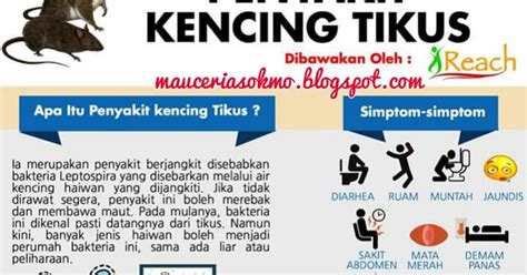 Pada mulanya, bakteria ini dikenal pasti datangnya dari tikus. Penawar Leptospirosis@kencing tikus ini jadi asbab suami ...