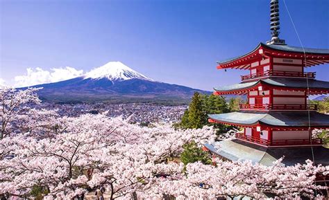 Here are some beautiful translations of japanese haikus all about cherry blossom season. Must visit top 10 beautiful places in Japan where to be ...