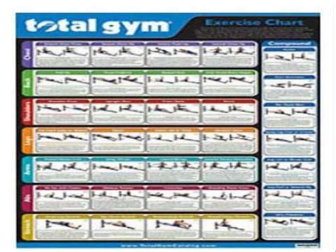 In the diagrams below, i'll be showing muscle groups in color, with a black line to show the forms that would show through the skin (i also show protruding bones that would do the same). Total Gym Workout Guide Pdf | EOUA Blog