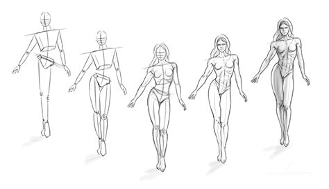If you want to take your drawing to the next level, make the body outlines for your female figures instead of freehand drawing the body, create a simple grid of lines and make horizontal lines that are. Female Figure Practice by Ajm03 on DeviantArt