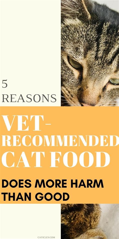 Check out some of the main ingredients and owner reviews before you decide. 5 Reasons Your Vet Recommended Cat Food is Complete ...