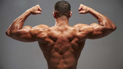 Maybe you would like to learn more about one of these? How to Build Muscle - Best Ways to Gain Your Back Muscles ...