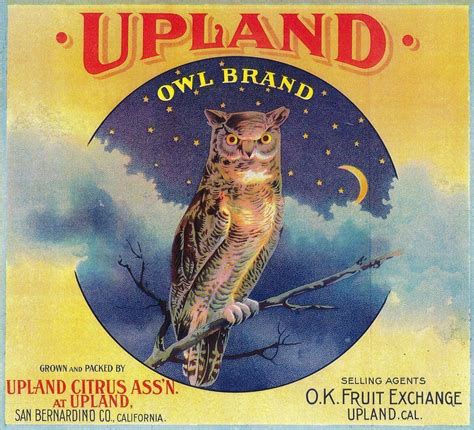 You can see how to get to inland flowers on our website. Upland San Bernardino California Owl Orange Citrus Fruit ...