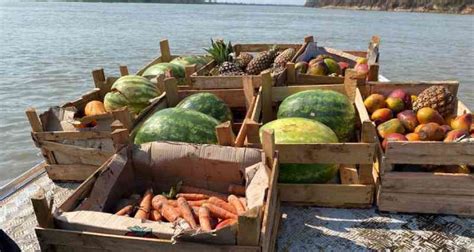 Noticias de incendios activos en el mundo. Grupo espalha alimentos para animais silvestres nas ...