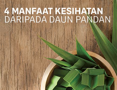 Yuk, simak penjelasannya berikut ini. Manfaat Dan Kelebihan Pilihan Raya - merksyn