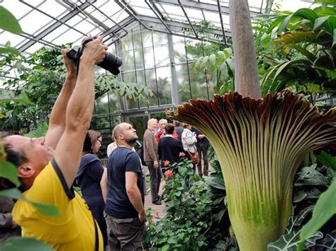 Botanischer garten der universität wien rennweg 14 1030 wien. "Die Grüne Apotheke": Freilandausstellung im Botanischen ...