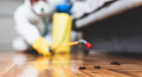 1,255 likes · 193 talking about this · 6 were here. Pest Control in Vancouver, WA | Complete Exterminating