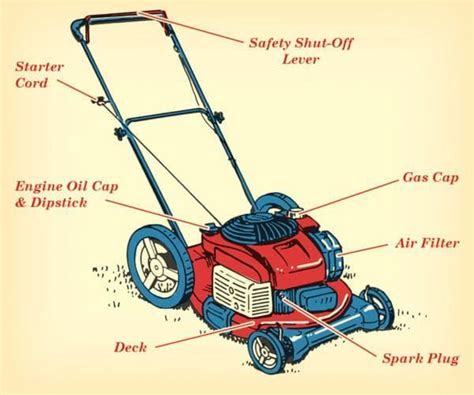 Honda hrm195 hrm215 lawn mower parts; GET REAL ON CLIMATE CHANGE #CONSERVATION Spending hour ...