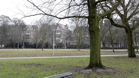 The vondelpark was created in 1867 by a group of citizens, wealthy members of society. Vondelpark Amsterdam - YouTube