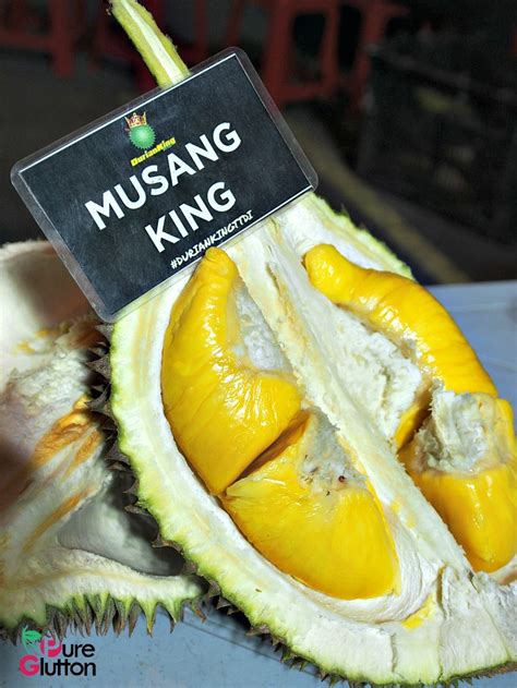 Black thorn is only available in the middle of the year and there are limited places that sell this variety of durian. DURIAN KING@TTDI: DURIANS WITH A CAUSE on SUNDAY, 14 ...