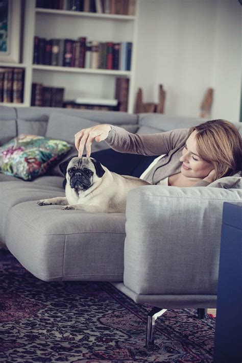 Polyestercouch, sind allgemein relativ pflegeleicht und sehr resistent gegen bei urinflecken ist ebenfalls das im urin enthaltene eiweiß ihr größter feind. Gerüche aus dem Sofa entfernen: Tipps | Polster Fischer