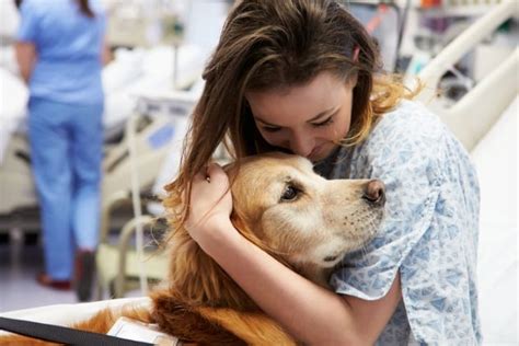 Pets, especially dogs and cats, can reduce stress, anxiety, and depression, ease loneliness, encourage exercise and playfulness, and even improve your cardiovascular health. Top 10 Secret Ways Animals Help Humans - Listverse