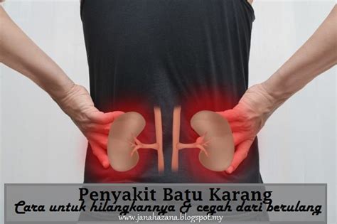 Air kencing terbentuk di dalam buah pingggang mengalir melalui struktur tiub yang dipanggil ureter ke pundi kencing di malaysia batu karang biasa ditemui di bahagian atas saluran kencing ( buah pinggang dan ureter). Sakitnya kena batu karang salur kencing macam dihiris ...