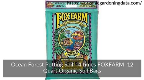 Check out our loamy soil selection for the very best in unique or custom, handmade pieces from our outdoor & gardening shops. Ocean Forest Potting Soil - (4) FOXFARM FX14053 12 Quart ...