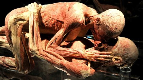Maybe you would like to learn more about one of these? 10 Disgusting Facts About The Human Body - YouTube