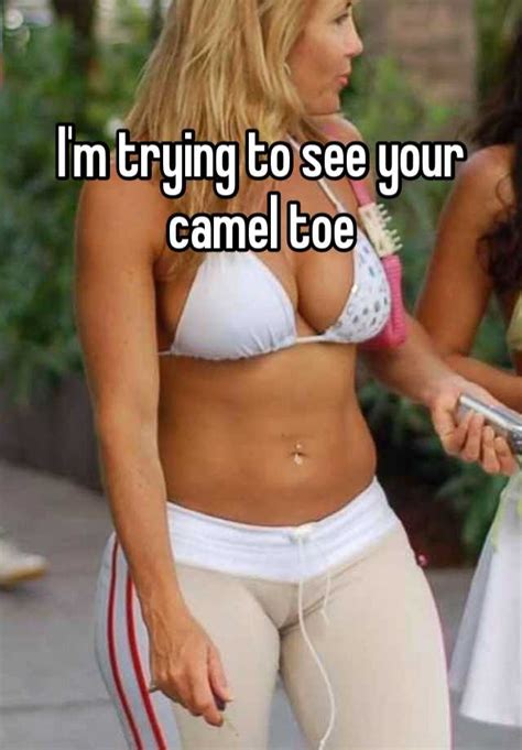 I can see your camel toe (photo gallery). I'm trying to see your camel toe