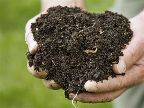 Karbon (sampah coklat), nitrogen (sampah hijau), air, dan oksigen. Cara Membuat Pupuk Kompos Organik - Lintas Usaha