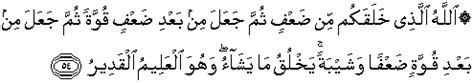 Arti surat ar rum 21: QS 30 : 54 Quran Surat Ar Rum Ayat 54 Terjemah Bahasa ...