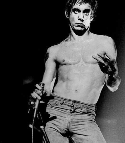 Run by iggy's touring entourage. Iggy Pop | Iggy pop, Iggy, Classic singers