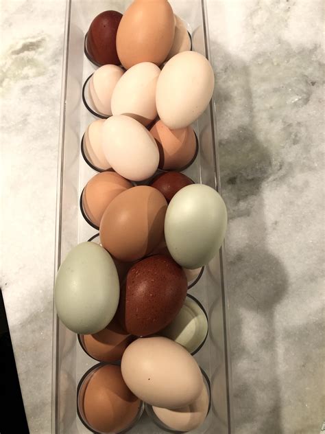 Not only are eggs the star of many breakfast recipes and nearly indispensable in baking, they're also a useful source of protein, iodine and essential vitamins. Have lots of eggs and would love to hear your cheap/ easy recipes. : Frugal