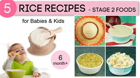 At this stage, you can offer thicker purees and mashed foods. 6 months+ Baby Food Recipes | 5 Rice Recipes for Babies ...