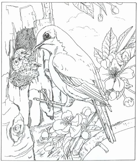 Realistic bird coloring pages | quite an amazing creature! Realistic Nature Coloring Pages at GetColorings.com | Free ...