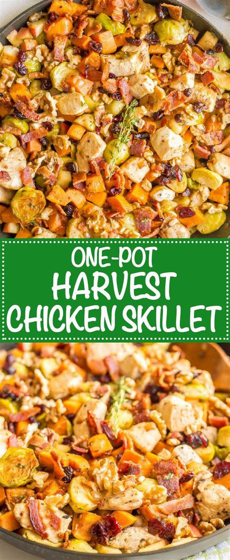 Learn how to make whole oven roasted chicken, with crispy skin, that's browned to perfection! One-pot easy harvest chicken skillet | Recipe (With images) | Fall dinner recipes, Skillet ...