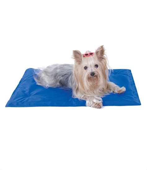 We considered what material the mat was made from this arf pets pet dog self cooling mat pad for kennels is our runner up pick. Coolin Pet Pad | Pet pads