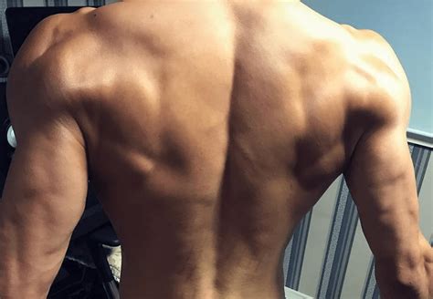 The superficial back muscles are covered by skin, subcutaneous connective tissue and a layer of fat. INFINITE Sungyeol Has Been Working Out And Now His Muscles ...