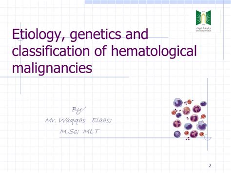 Classification of acute myeloid leukemia. PPT - Etiology, genetics and classification of ...