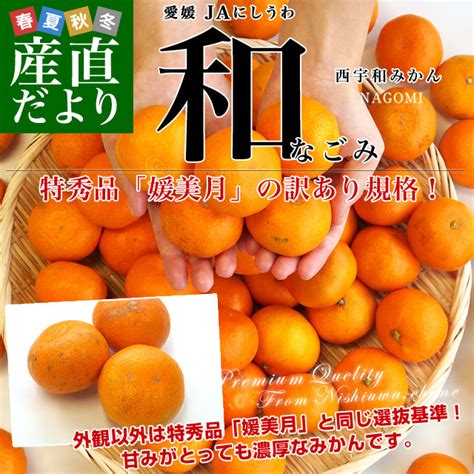 四国 香川 徳島 愛媛 高知. 愛媛県より産地直送 JAにしうわ 八協共選 西宇和みかん 和 ...