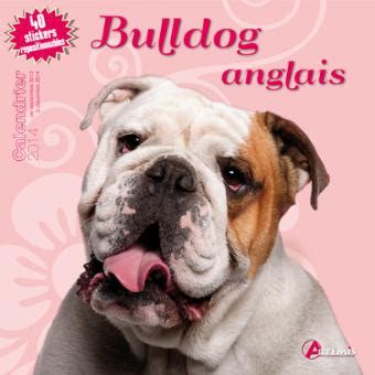 Le combat entre chien et taureau était désigné comme bullbaiting. Calendrier 2014 bulldog anglais - broché - Collectif ...