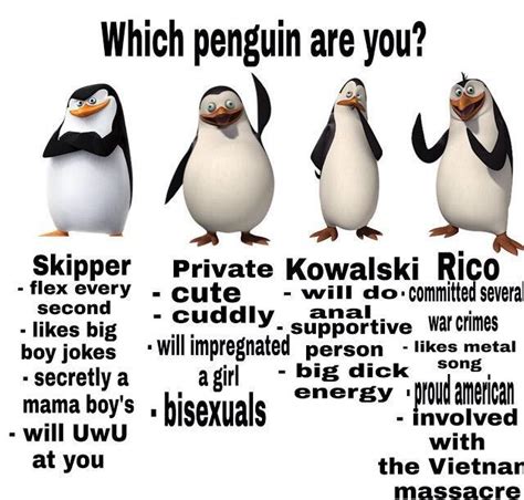 Penguins of madagascar is the name of a group of penguins from the 2005 animated movie madagascar, as well as the name of a tv show since their debut, the penguins have been heavily featured in memes, notably well boys, we did it. Penguins Of Madagascar Meme We Did It Boys