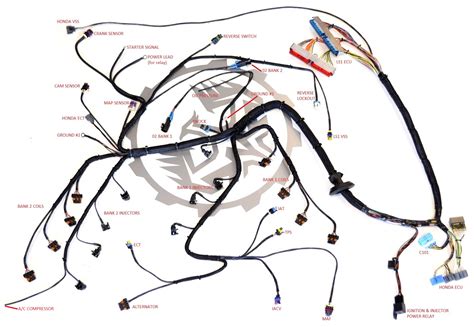 Check around the engine compartment or in your owners manual if you need a diagram. VG_8241 Ls1 Gto Alternator Wiring Free Diagram