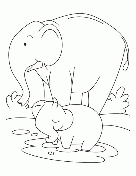 Eitrm have elephant coloring pages on with hd resolution 1200x1069. Baby Elephant Coloring Pages - Coloring Home