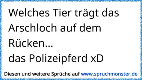Überleg dir, welches tier für welche eigenschaften steht oder in einer bestimmten redewendung verwendet wird. Welches Tier trägt das Arschloch auf dem Rücken...das ...
