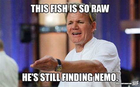 The latest tweets from gordon ramsay memes (@memesgordon). These Memes Of Gordon Ramsay Insulting People Are Too Damn ...