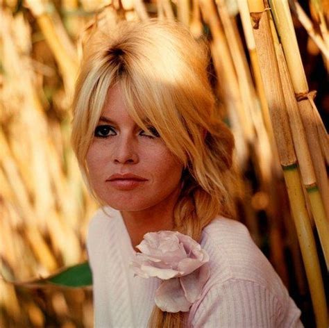 De brigitte bardot pony of baby bangs. Brigitte Bardot - lalbum del fan club | miti in 2019 ...