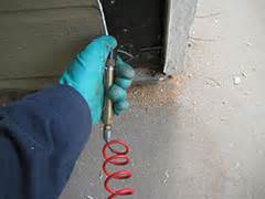 When jim and lesley first purchased accurate termite and pest control in 2002, their their unique philosophy and approach to the termite and pest control industry proved to be >>location: Services - Lake Forest Termite Control