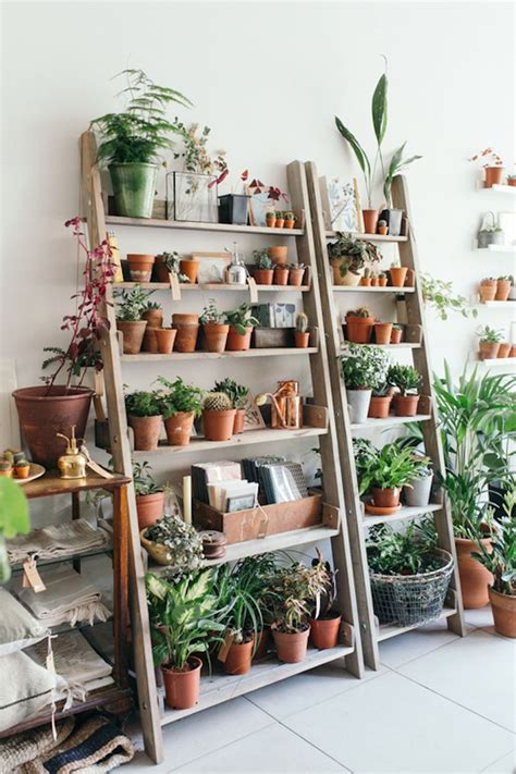 Why not keep your plants organized by building a tiered plant shelf? Object of Desire: Wooden Ladder Bookshelf for Plants ...