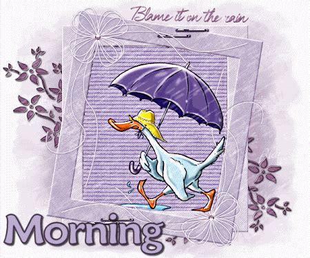 Comment must not exceed 1000 characters. Blame It On The Rain...Morning Pictures, Photos, and ...