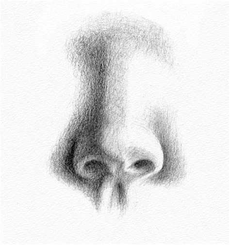 Draw and shade nose with pencil sketch. Pencil Portrait Drawing - How to Draw a Nose