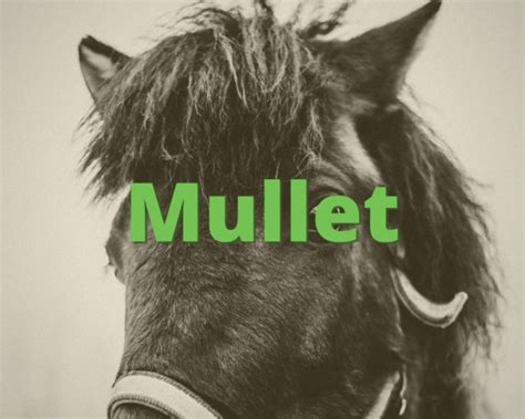 One season you will see guys with mohawk styles quite often while in another three months chinstrap haircuts. Mullet » What does Mullet mean? » Slang.org